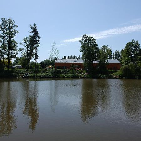 Florennes Gite Neuf 150 M2 Devant Un Grand Lac Prive De 2 Hectares Poissonneux Au Milieu Des Bois Eksteriør billede