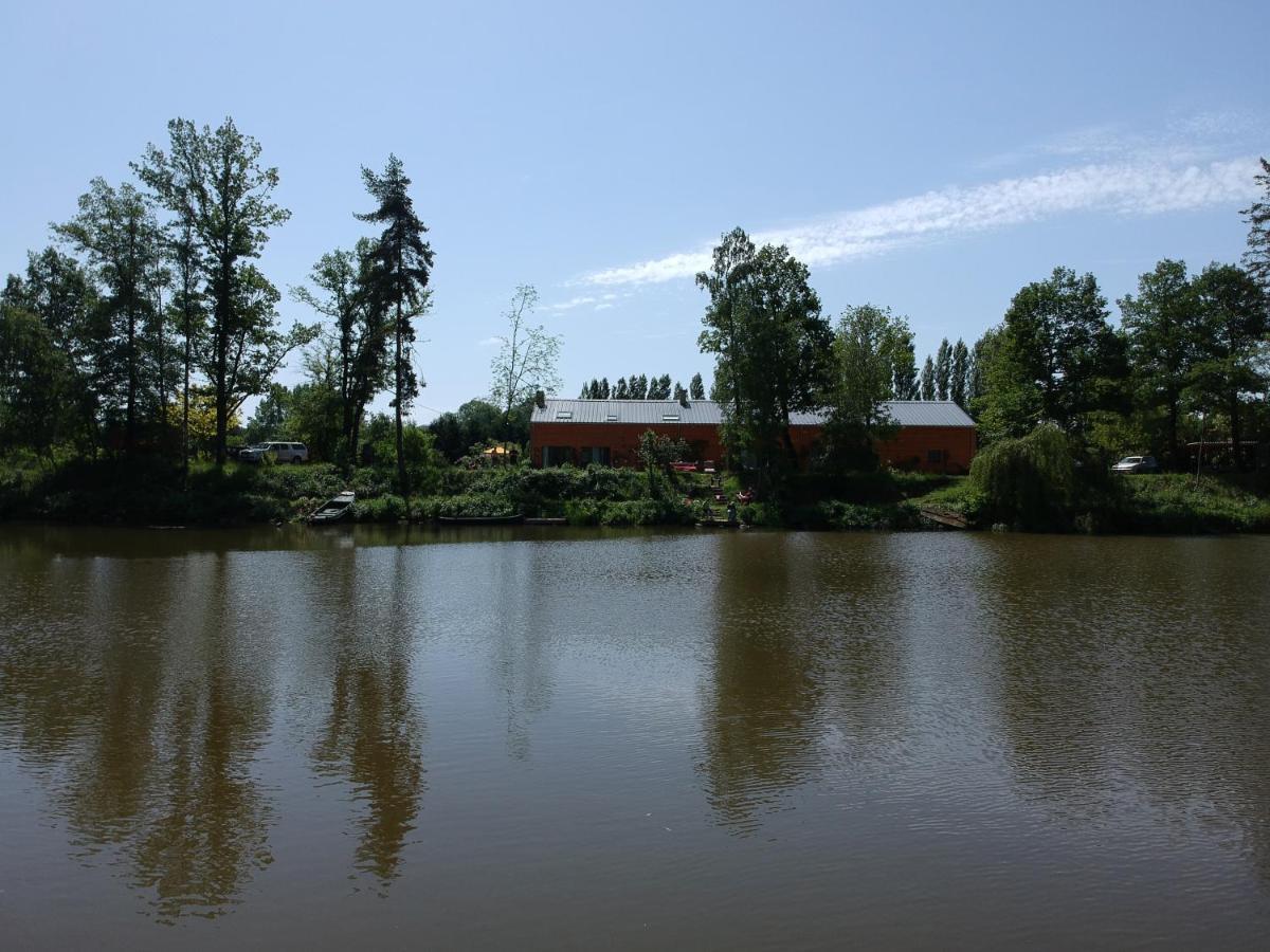 Florennes Gite Neuf 150 M2 Devant Un Grand Lac Prive De 2 Hectares Poissonneux Au Milieu Des Bois Eksteriør billede