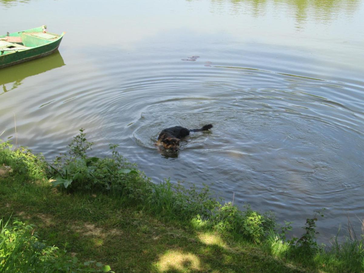 Florennes Gite Neuf 150 M2 Devant Un Grand Lac Prive De 2 Hectares Poissonneux Au Milieu Des Bois Eksteriør billede