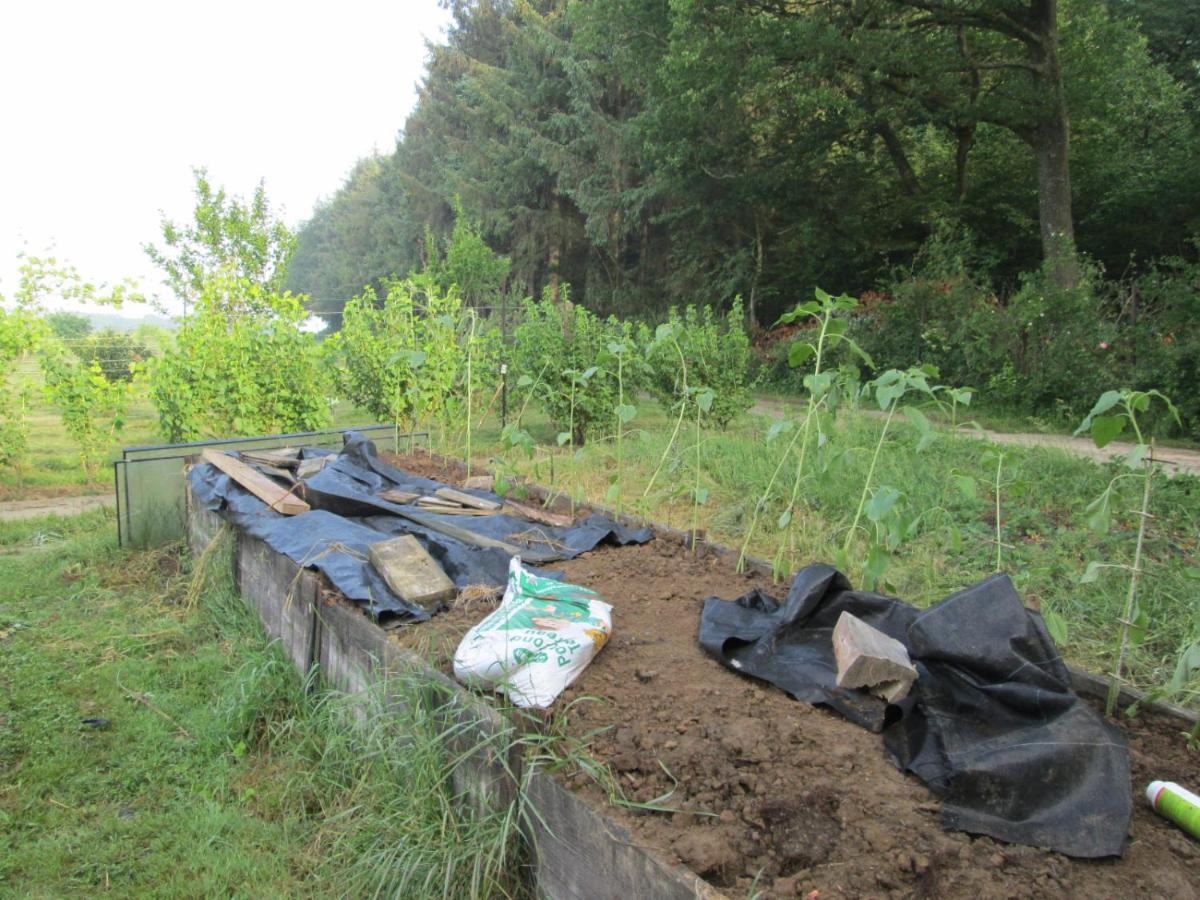 Florennes Gite Neuf 150 M2 Devant Un Grand Lac Prive De 2 Hectares Poissonneux Au Milieu Des Bois Eksteriør billede