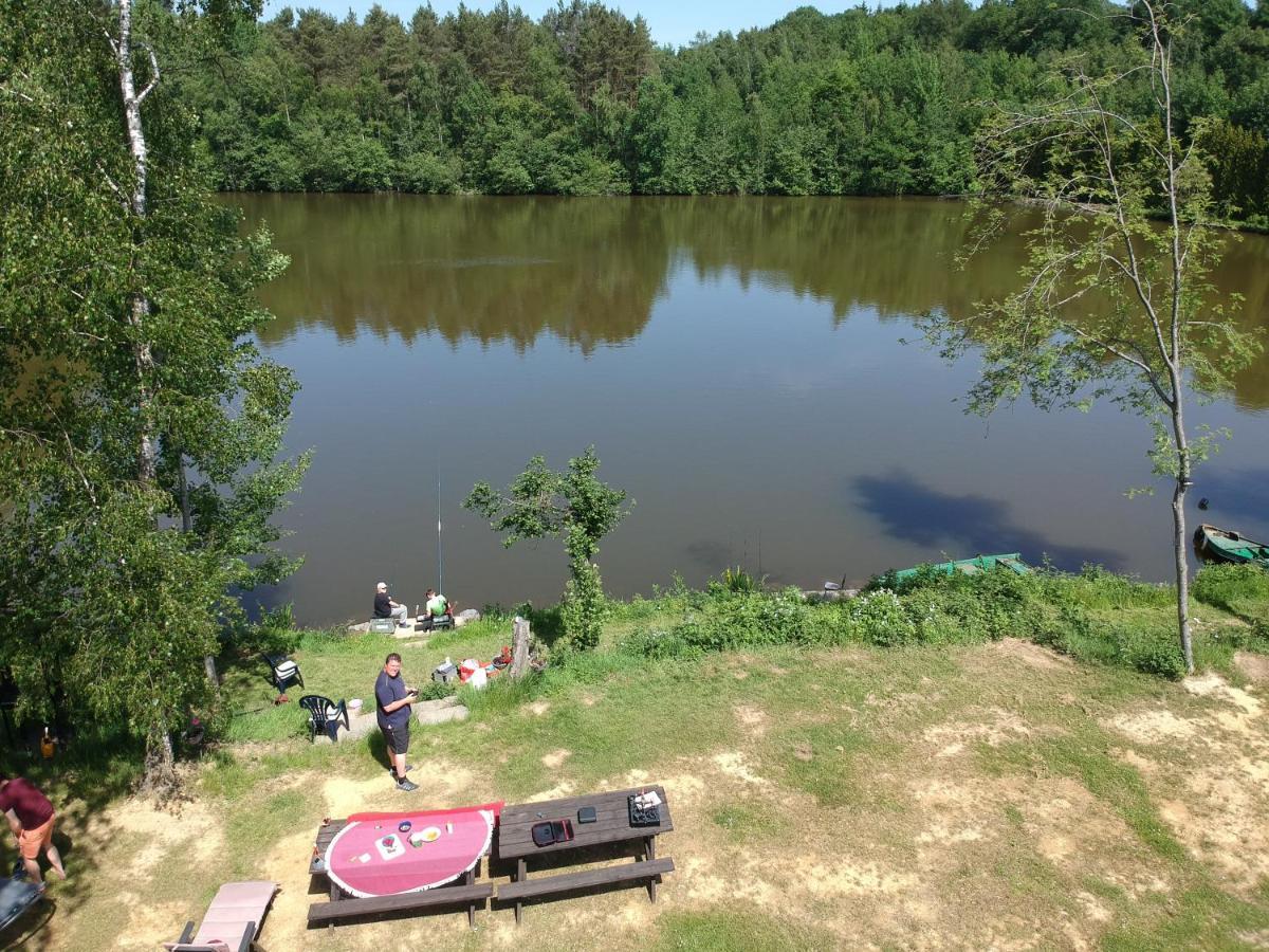 Florennes Gite Neuf 150 M2 Devant Un Grand Lac Prive De 2 Hectares Poissonneux Au Milieu Des Bois Eksteriør billede