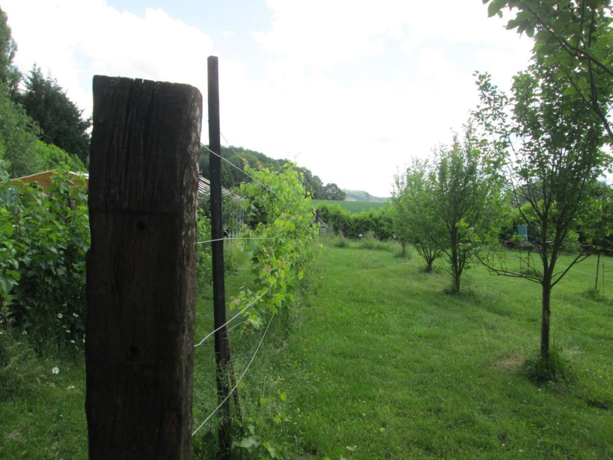 Florennes Gite Neuf 150 M2 Devant Un Grand Lac Prive De 2 Hectares Poissonneux Au Milieu Des Bois Eksteriør billede