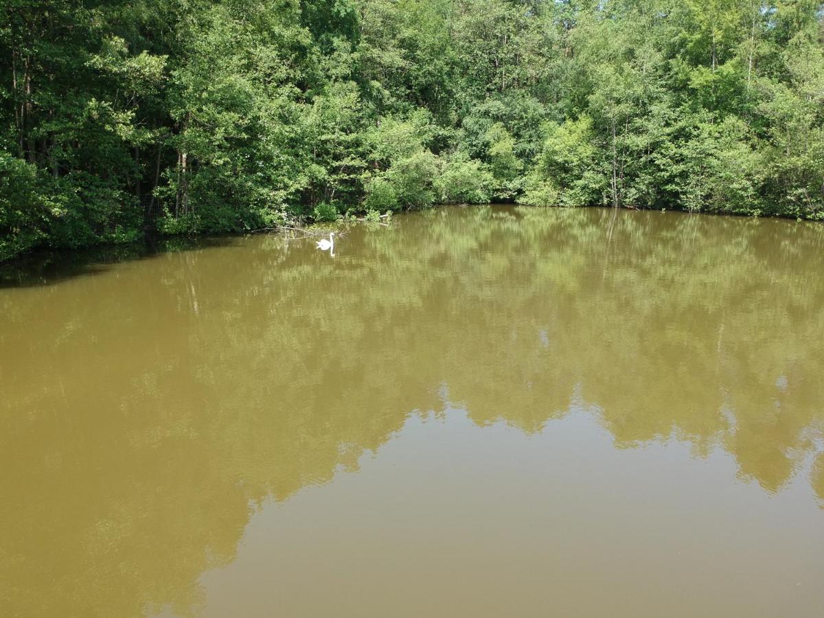 Florennes Gite Neuf 150 M2 Devant Un Grand Lac Prive De 2 Hectares Poissonneux Au Milieu Des Bois Eksteriør billede