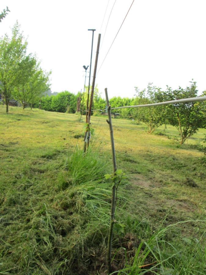 Florennes Gite Neuf 150 M2 Devant Un Grand Lac Prive De 2 Hectares Poissonneux Au Milieu Des Bois Eksteriør billede