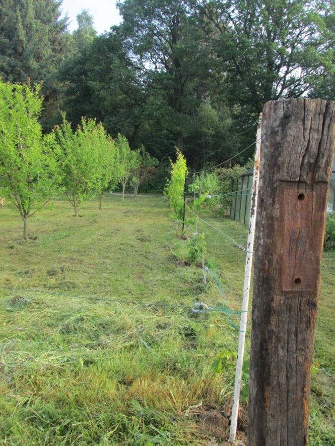 Florennes Gite Neuf 150 M2 Devant Un Grand Lac Prive De 2 Hectares Poissonneux Au Milieu Des Bois Eksteriør billede