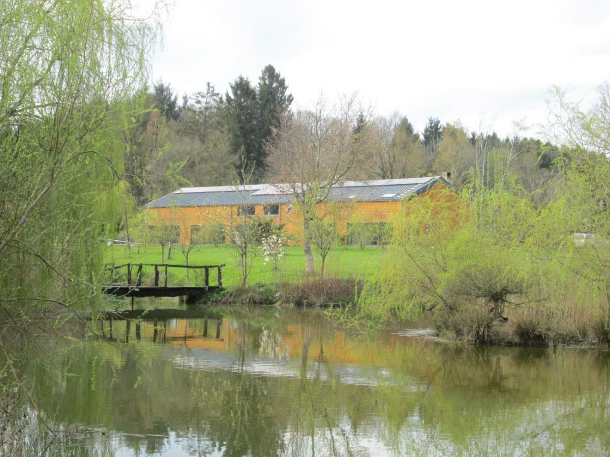 Florennes Gite Neuf 150 M2 Devant Un Grand Lac Prive De 2 Hectares Poissonneux Au Milieu Des Bois Eksteriør billede