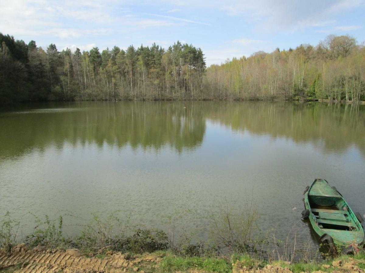 Florennes Gite Neuf 150 M2 Devant Un Grand Lac Prive De 2 Hectares Poissonneux Au Milieu Des Bois Eksteriør billede