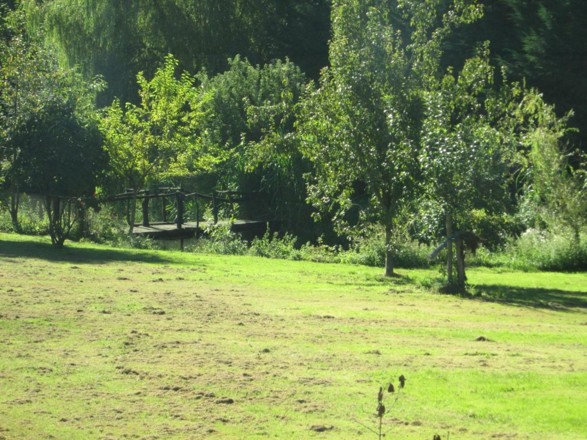 Florennes Gite Neuf 150 M2 Devant Un Grand Lac Prive De 2 Hectares Poissonneux Au Milieu Des Bois Eksteriør billede