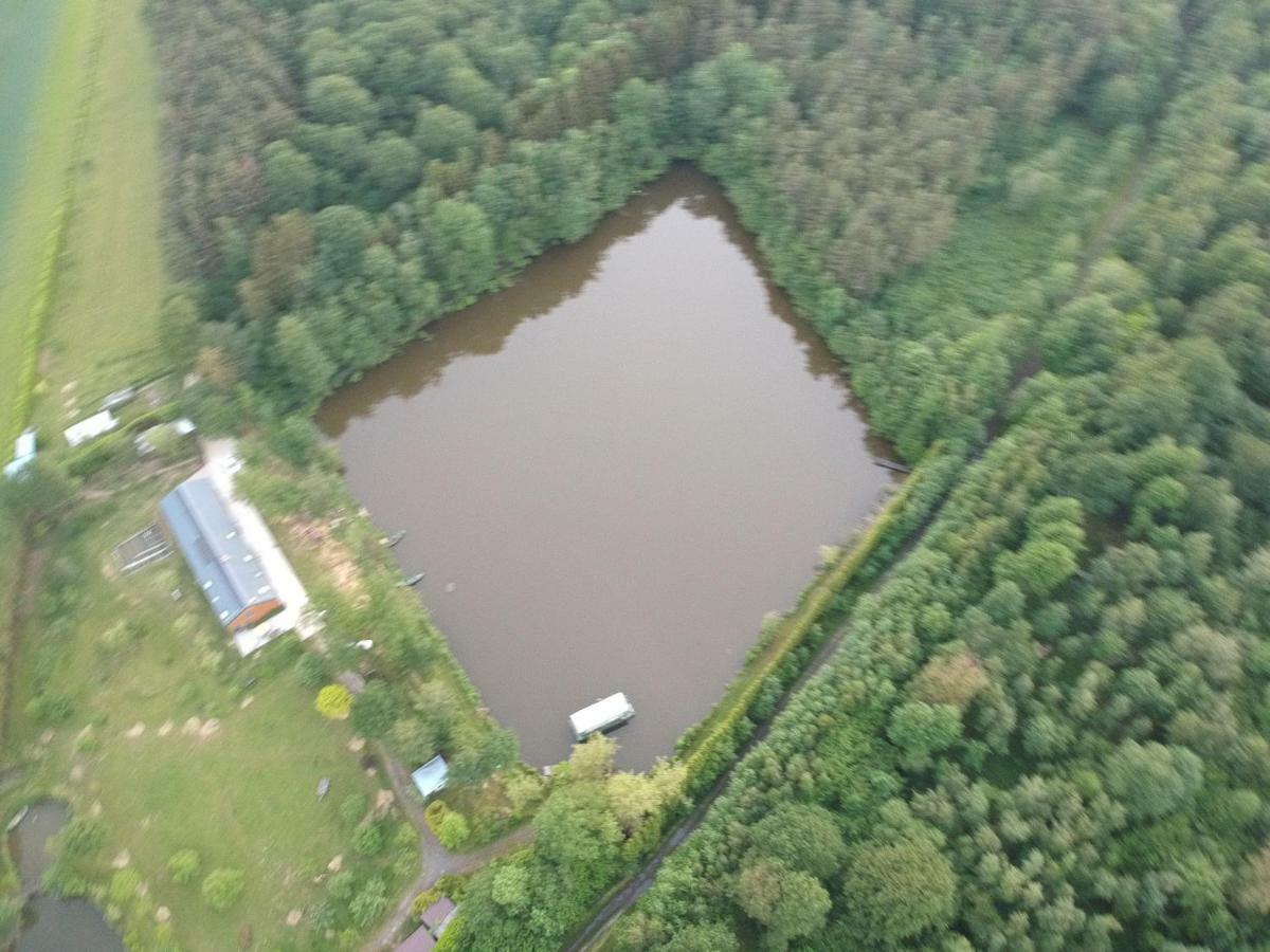 Florennes Gite Neuf 150 M2 Devant Un Grand Lac Prive De 2 Hectares Poissonneux Au Milieu Des Bois Eksteriør billede