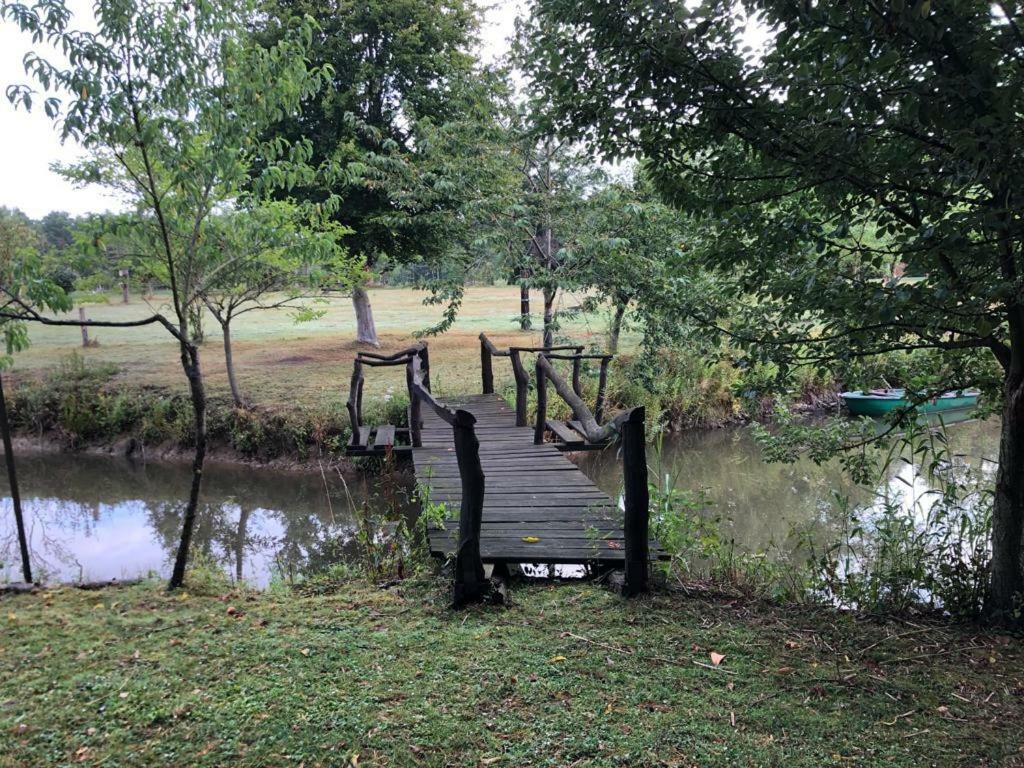 Florennes Gite Neuf 150 M2 Devant Un Grand Lac Prive De 2 Hectares Poissonneux Au Milieu Des Bois Eksteriør billede