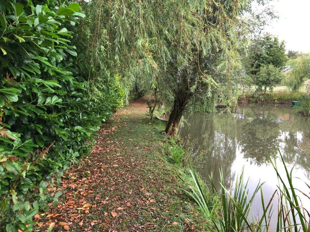 Florennes Gite Neuf 150 M2 Devant Un Grand Lac Prive De 2 Hectares Poissonneux Au Milieu Des Bois Eksteriør billede